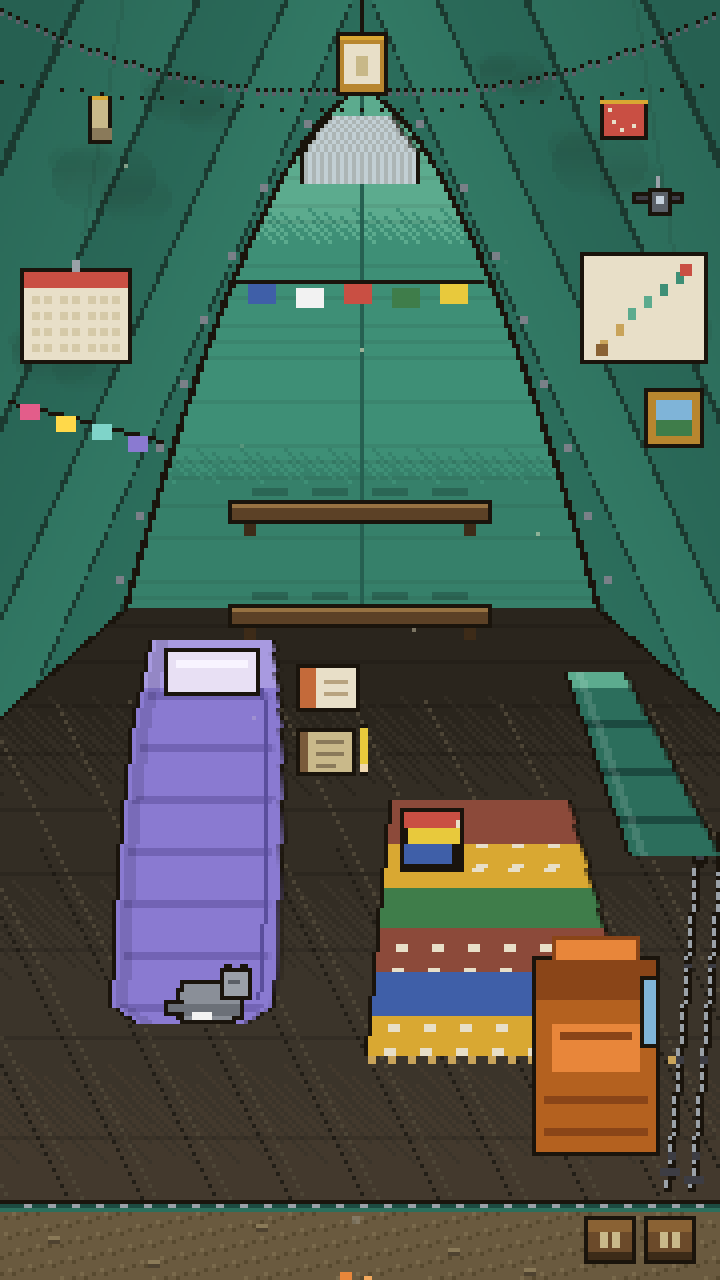 Inside a teal dome tent with a sleeping bag, rug, shelves and a cat