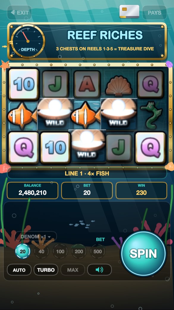 Reef Riches under the sea with a line win